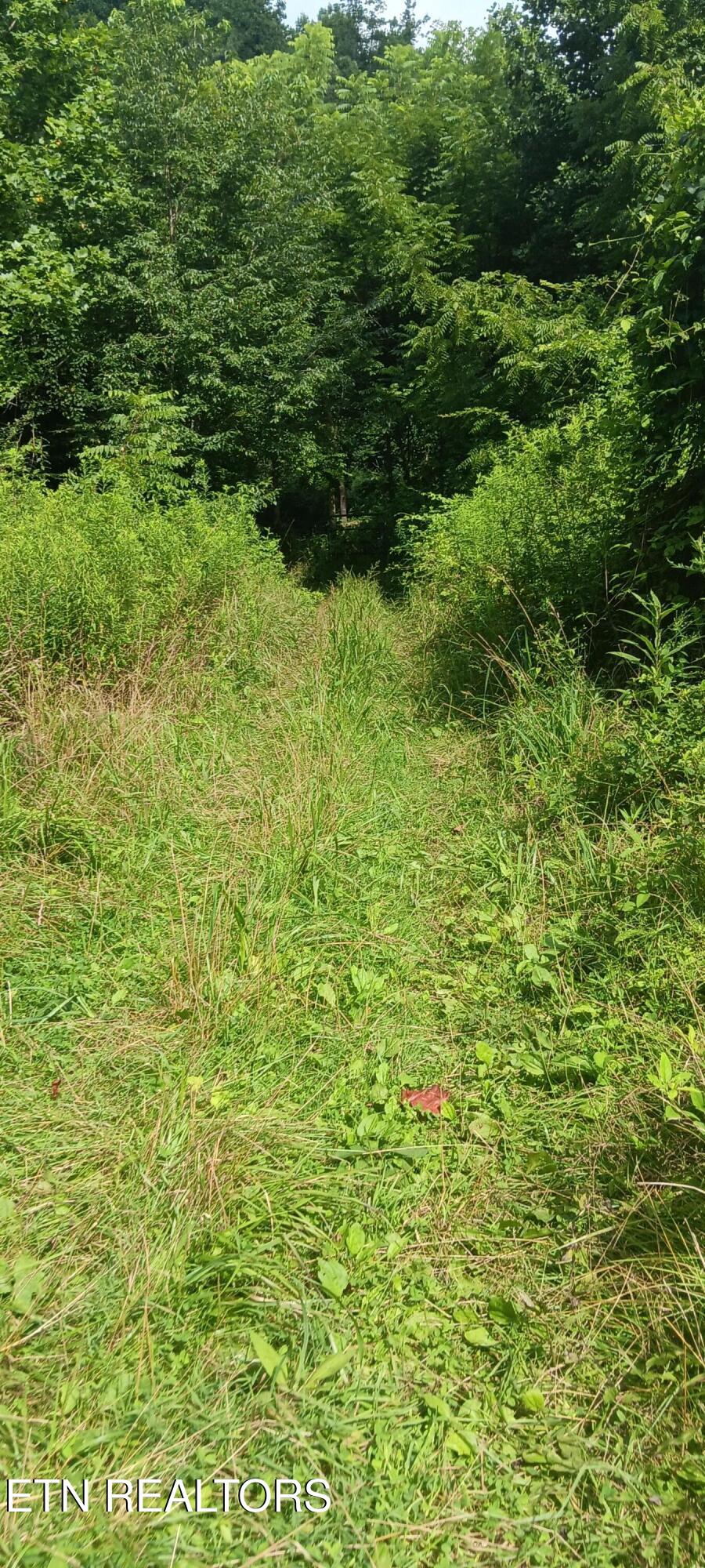 1133 Wheeler Road Harrogate, TN 37752 - Photo 23 of 32 20260717_104334