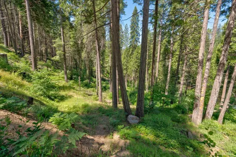 $349,000 | 47824 Brammer-Purl Road, Oakhurst, CA 93644