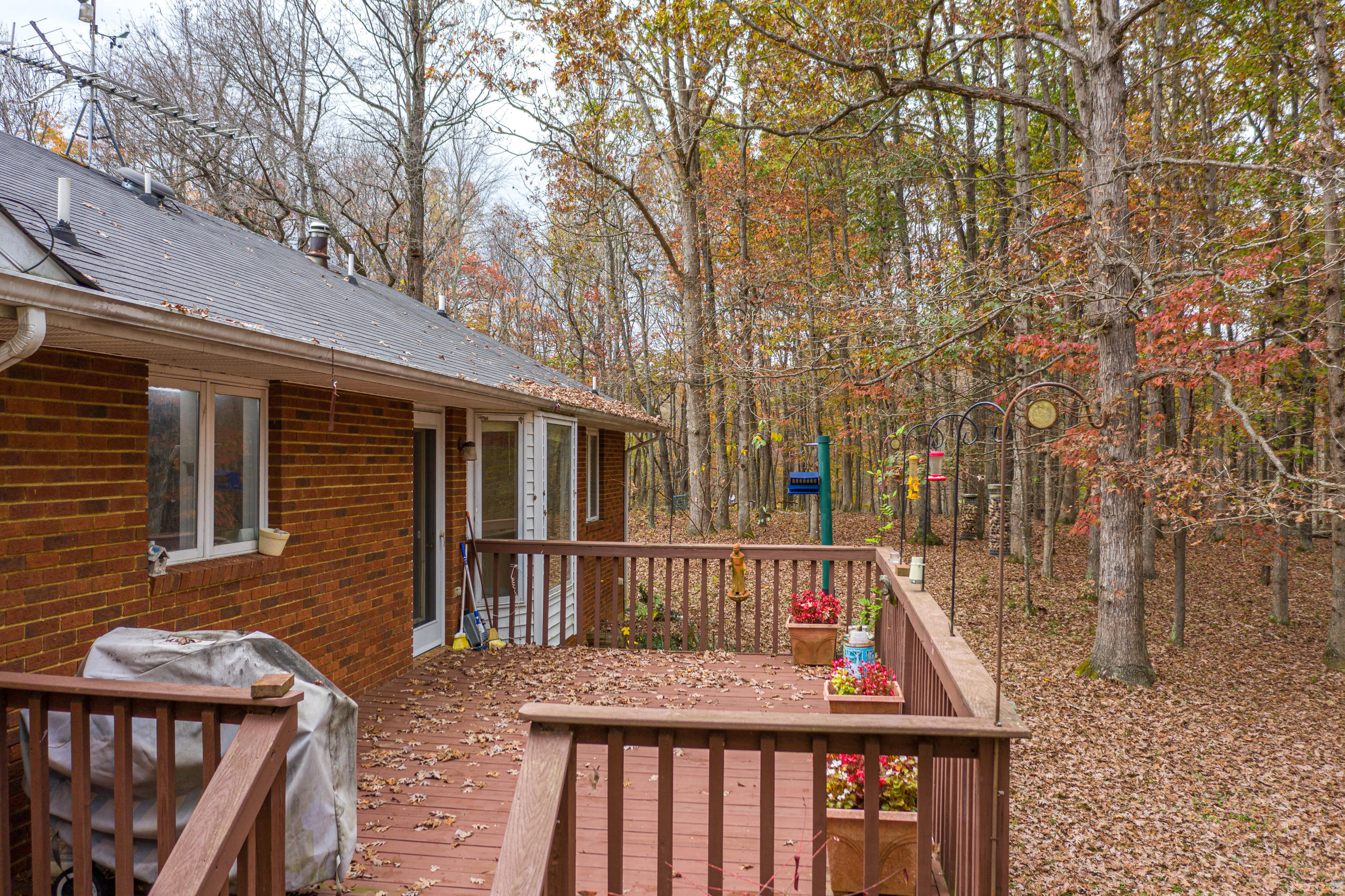 1766 Lees Gap Road Fincastle, VA 24090 - Photo 4 of 23 Deck