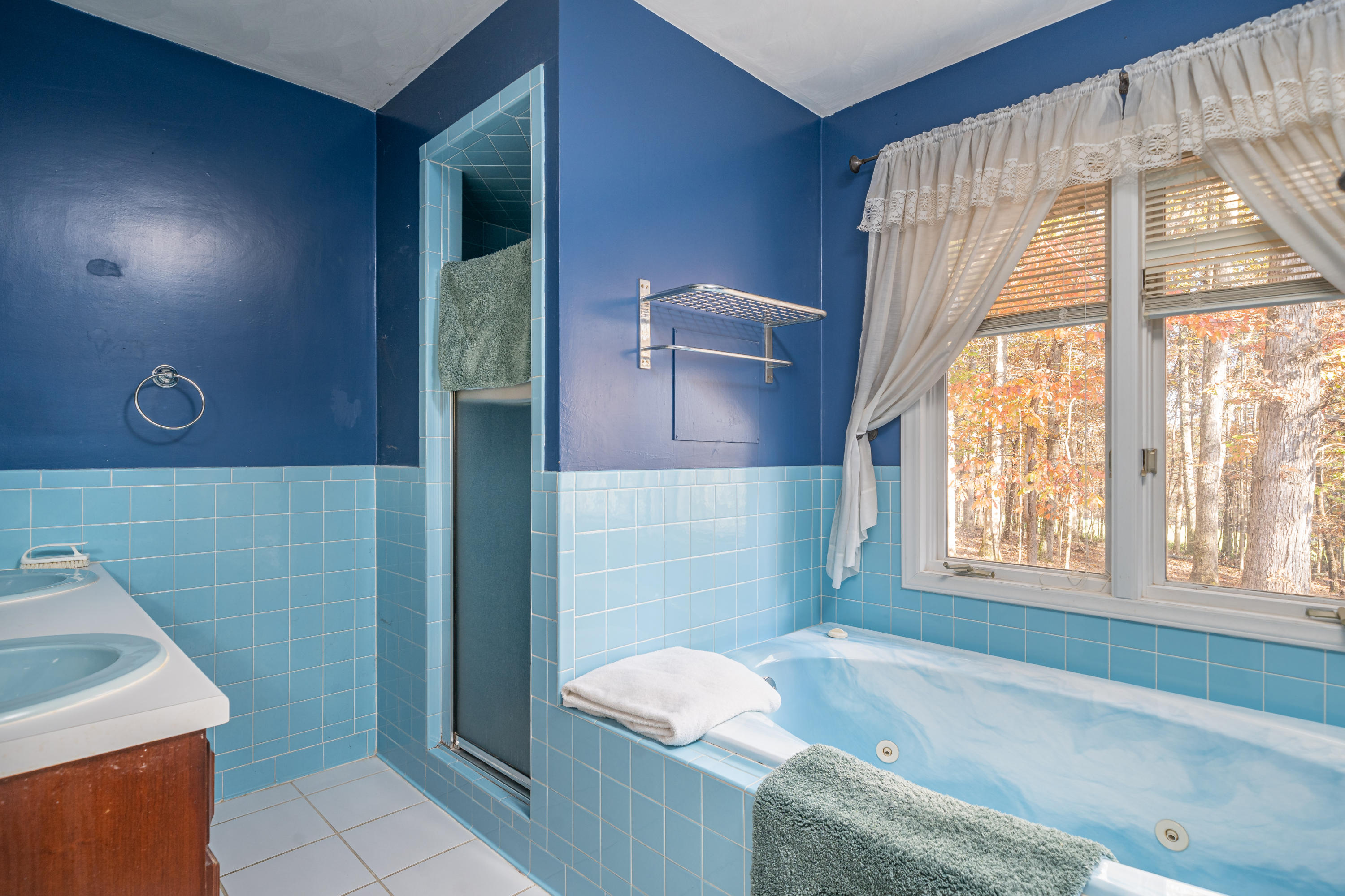 1766 Lees Gap Road Fincastle, VA 24090 - Photo 8 of 23 Master Bath