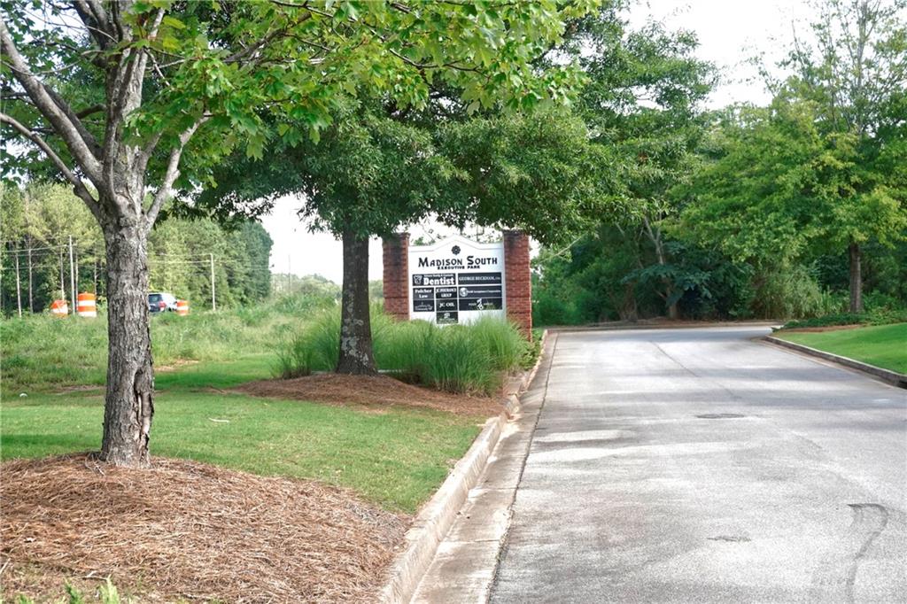 2151 Eatonton Road Madison, GA 30650 - Photo 11 of 16 a view of a yard with plants and large trees