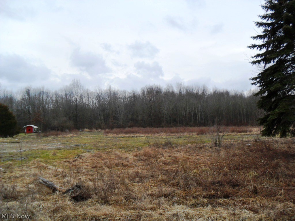 7522 Waterloo Road Atwater, OH 44201 - Photo 2 of 4 Clear level lot.