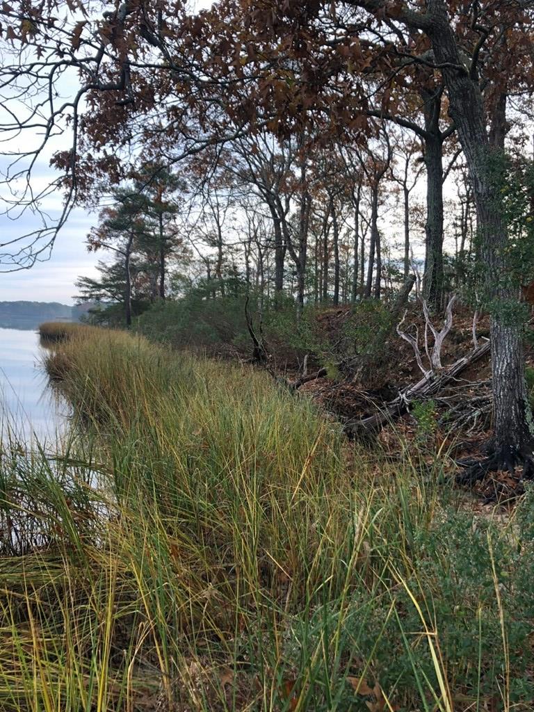 Lot 7 Lucas Trail, Unit 7 Machipongo, VA 23405 - Photo 1 of 11