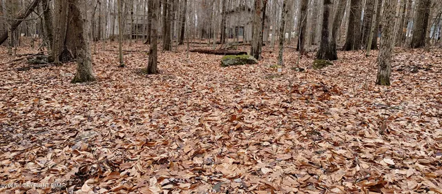 a view of wooden fence