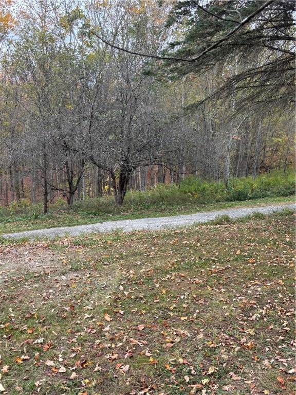 73 Smith Hill Road Stamford, NY 12167 - Photo 28 of 33 Driveway to Garage
