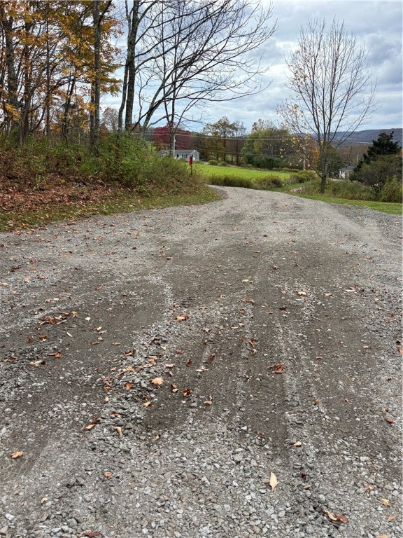 73 Smith Hill Road Stamford, NY 12167 - Photo 29 of 33 Driveway to Home