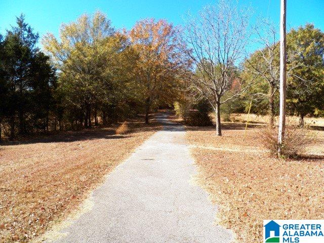 3952 Curry Station Road Munford, AL 36268 - Photo 46 of 49