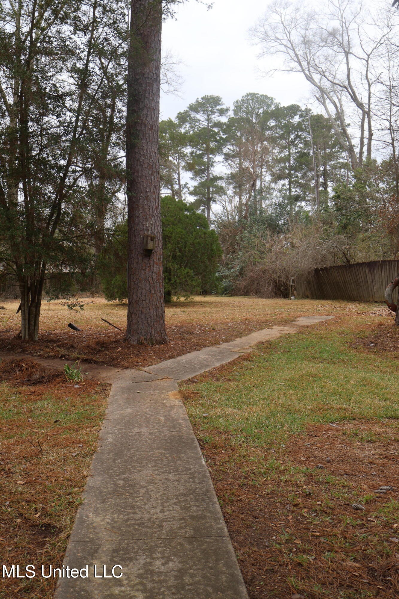902 South Jackson Street Brookhaven, MS 39601 - Photo 11 of 42 IMG_1440