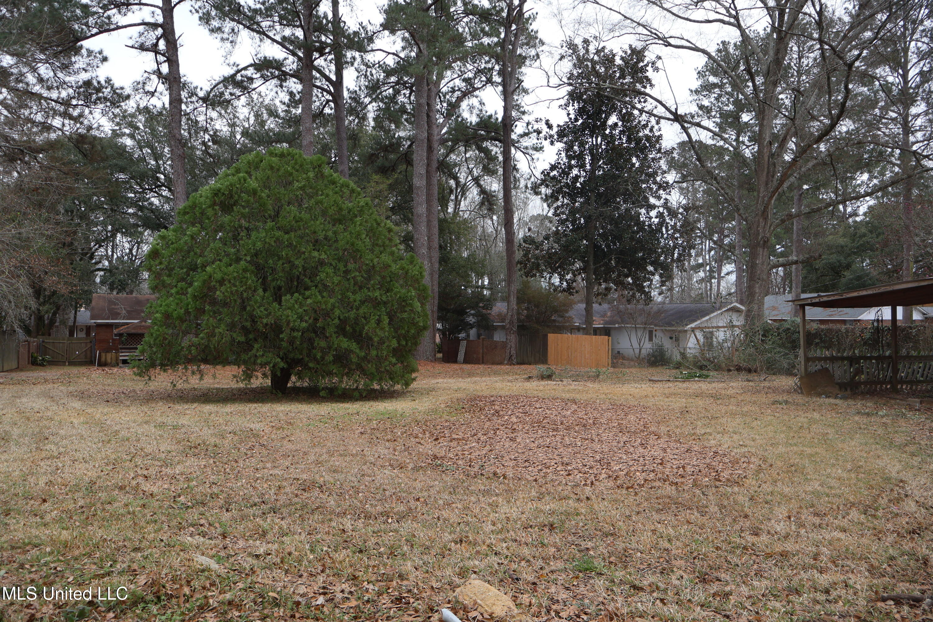 902 South Jackson Street Brookhaven, MS 39601 - Photo 15 of 42 IMG_1462