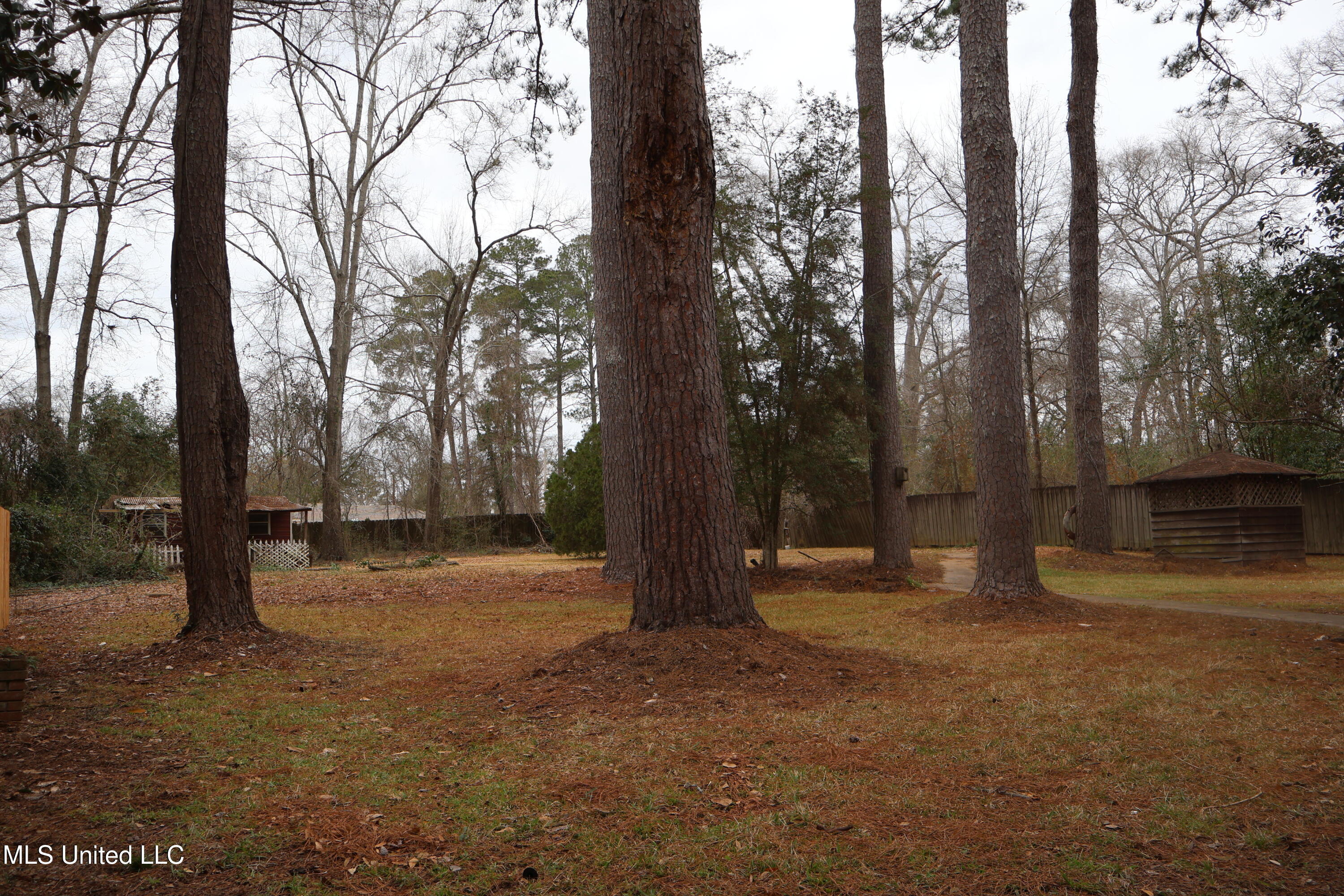 902 South Jackson Street Brookhaven, MS 39601 - Photo 17 of 42 IMG_1456