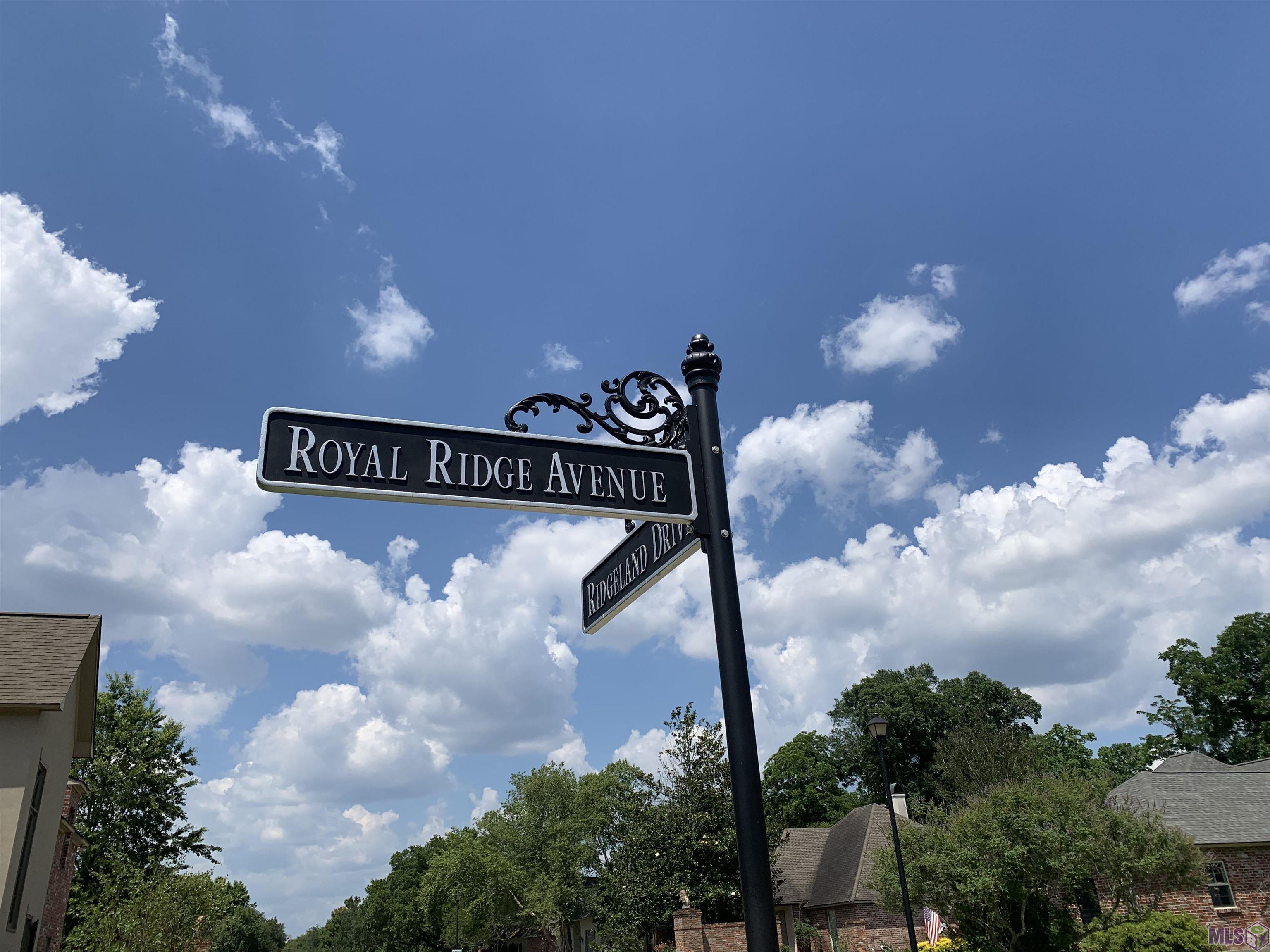 10707 Royal Ridge Avenue Baton Rouge, LA 70810 - Photo 31 of 31