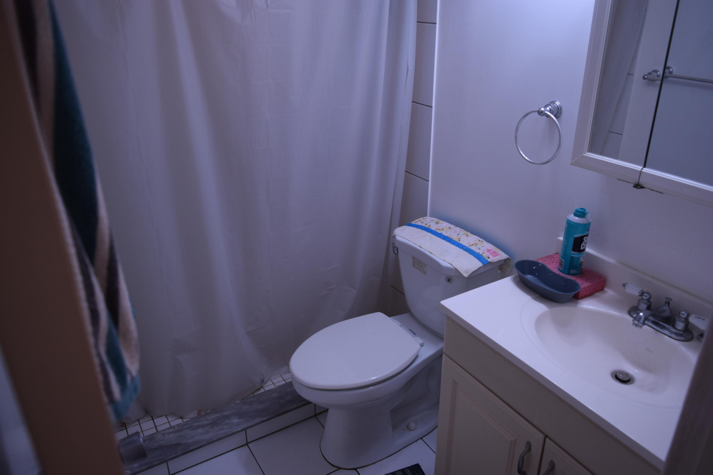 58 Sussex C, Unit C West Palm Beach, FL 33417 - Photo 12 of 22 a bathroom with a sink a toilet and shower curtain