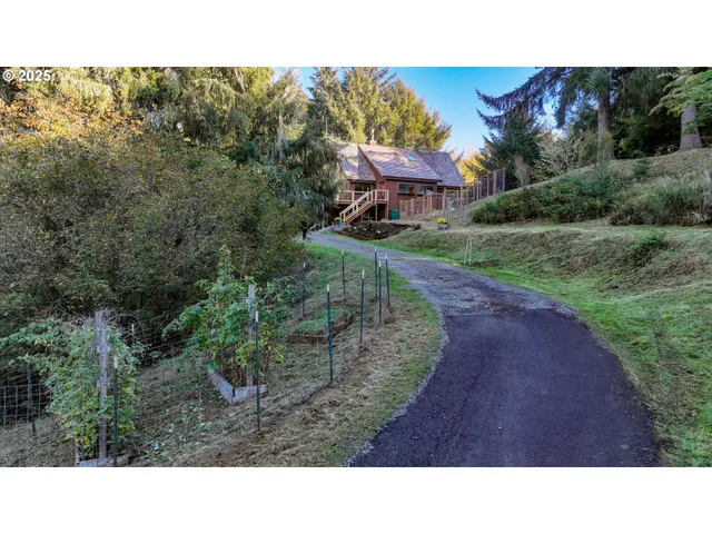 a black and white photo of a yard