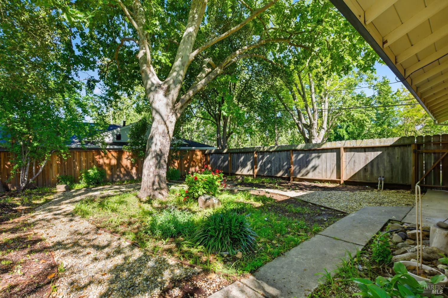 2015 Locust Street Napa, CA 94559 - Photo 41 of 54 a backyard of a house with lots of green space and wooden fence