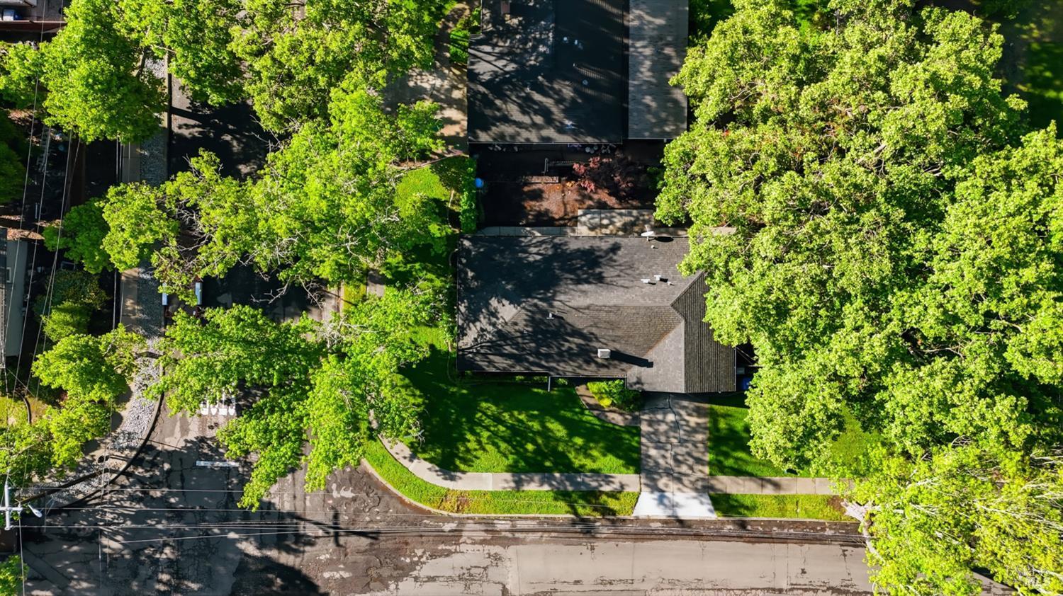 2015 Locust Street Napa, CA 94559 - Photo 50 of 54 a backyard of a house with lots of green space
