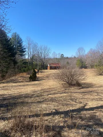 a view of dirt yard with a large tree