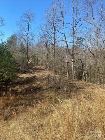 a view of a yard with trees