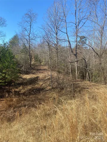 a view of a yard with trees
