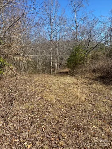 a view of a yard with trees