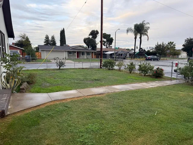 a view of a garden and palm trees