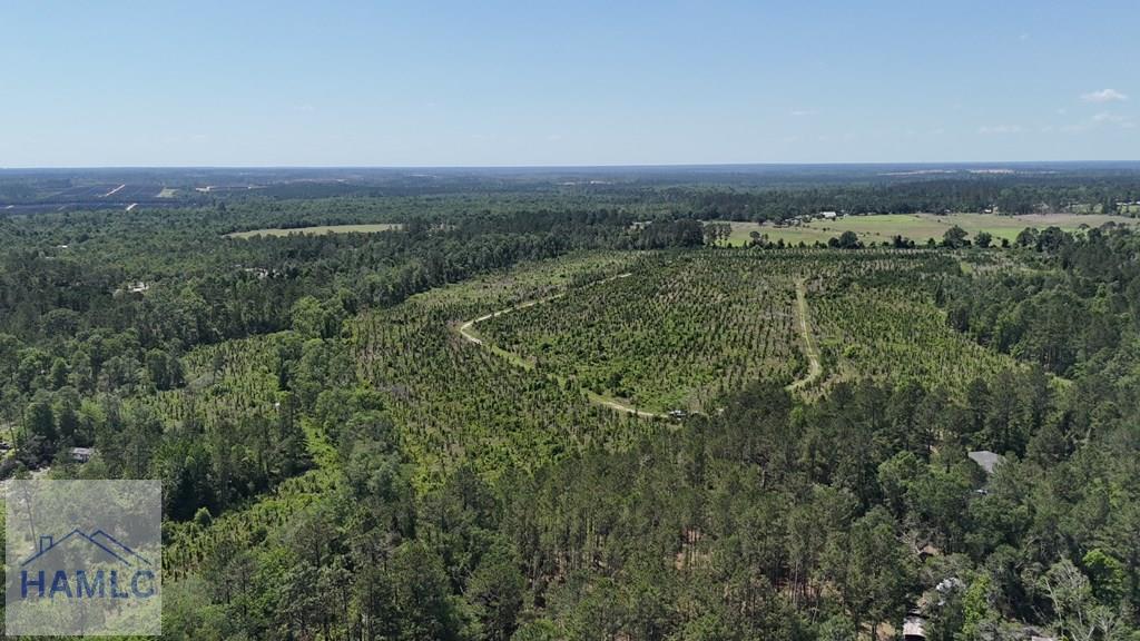 0 Deer Run Road Vidalia, GA 30474 - Photo 5 of 7 Gallery Image 5