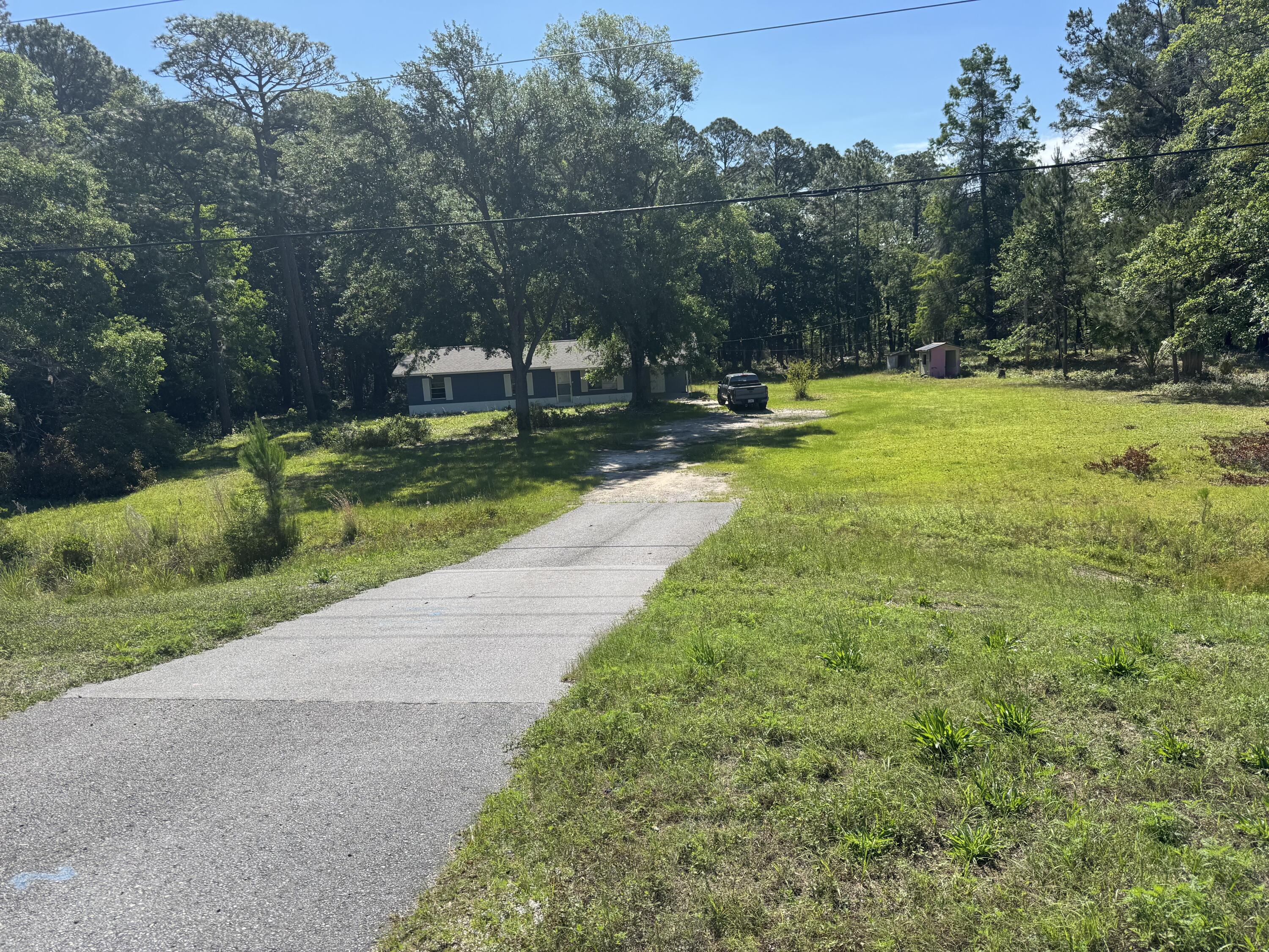19121 Highway 331 Freeport, FL 32439 - Photo 4 of 4 a view of a park with large trees