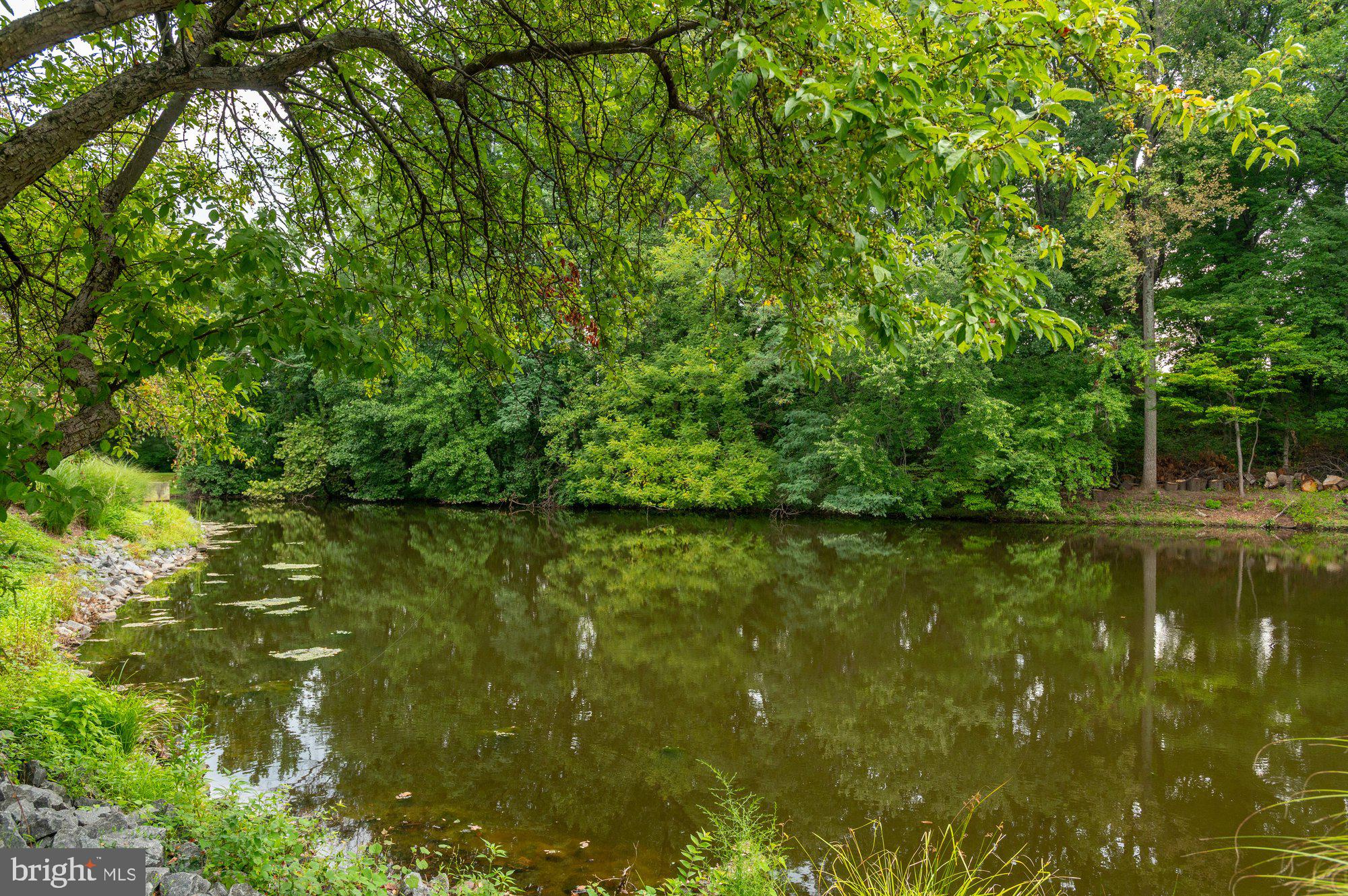 7264 Evans Mill Road McLean, VA 22101 - Photo 32 of 33 Community pond