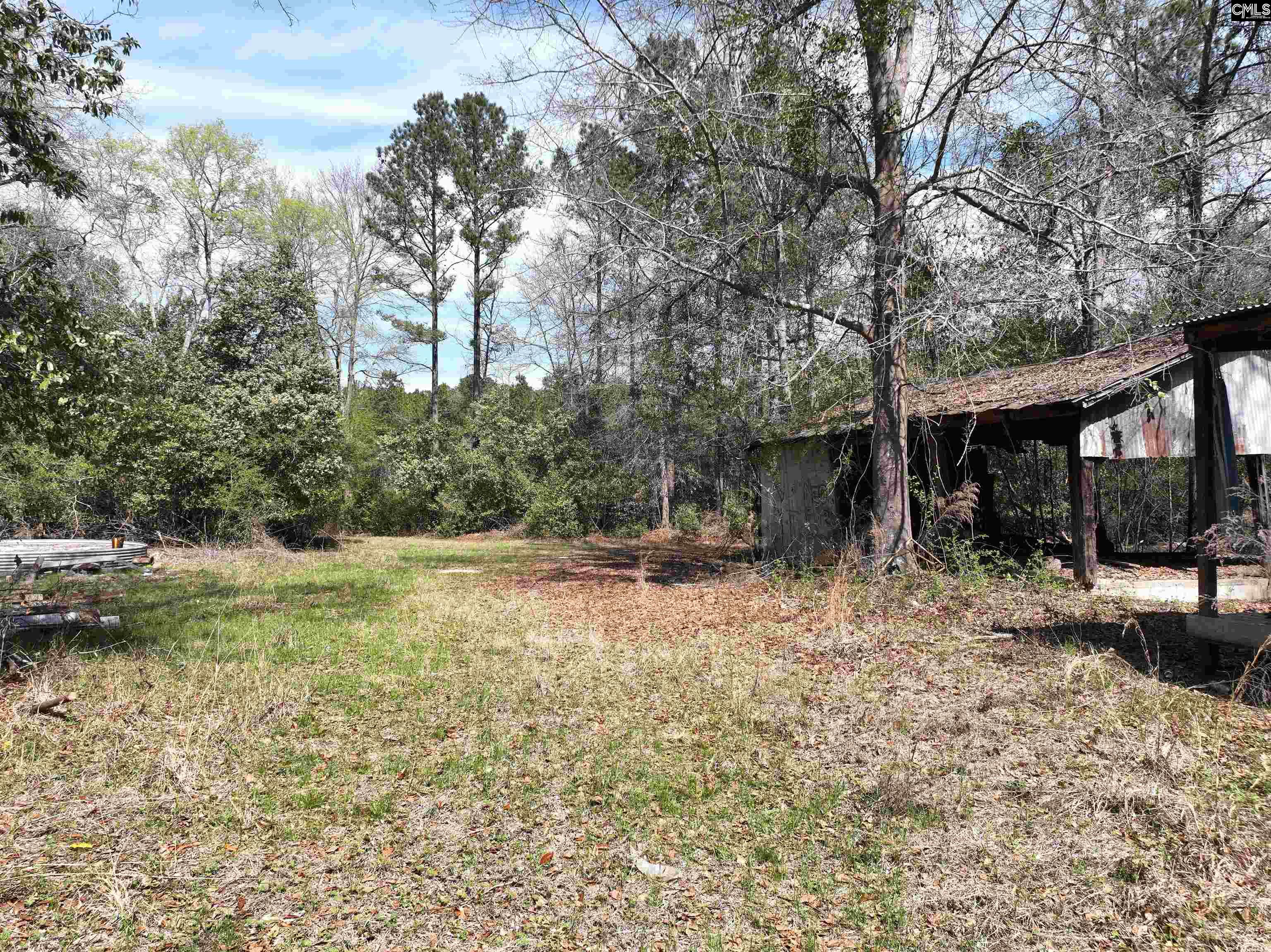 0 Dr Boylston Road Salley, SC 29137 - Photo 16 of 41