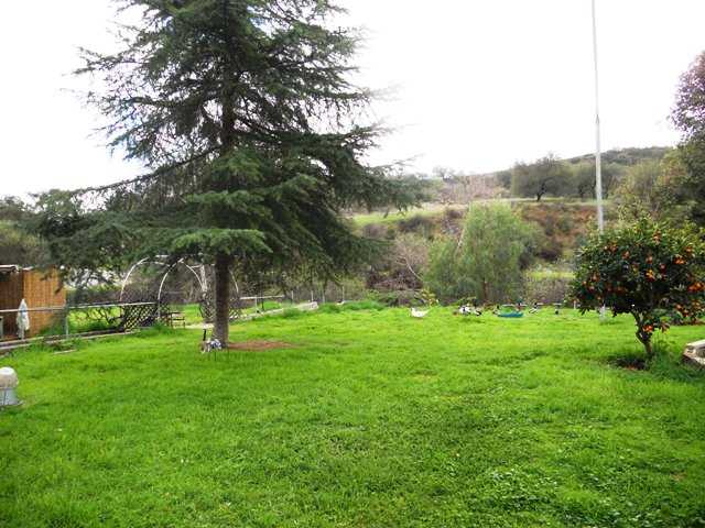 Side yard