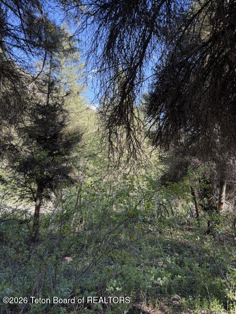 77 Redwood Road Star Valley Ranch, WY 83127 - Photo 5 of 8 IMG_4750