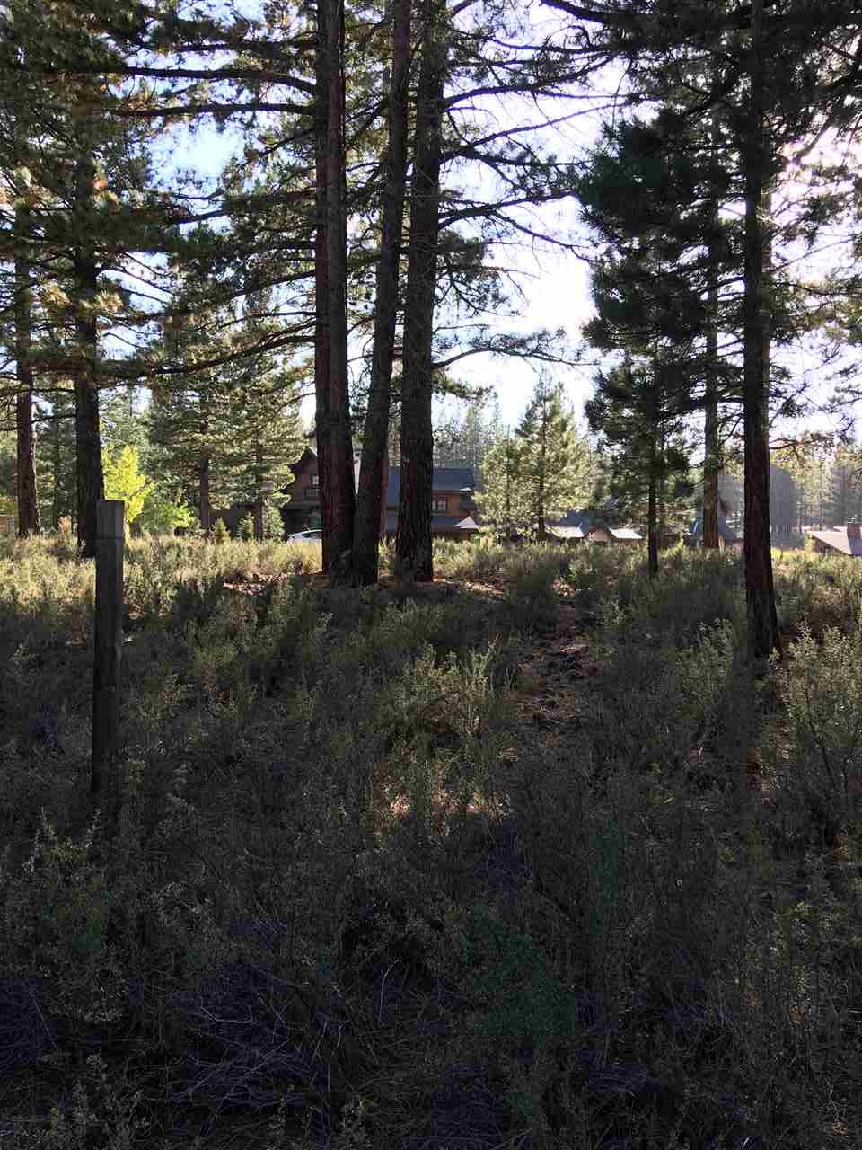 11000 Ghirard Road Truckee, CA 96161 - Photo 3 of 10