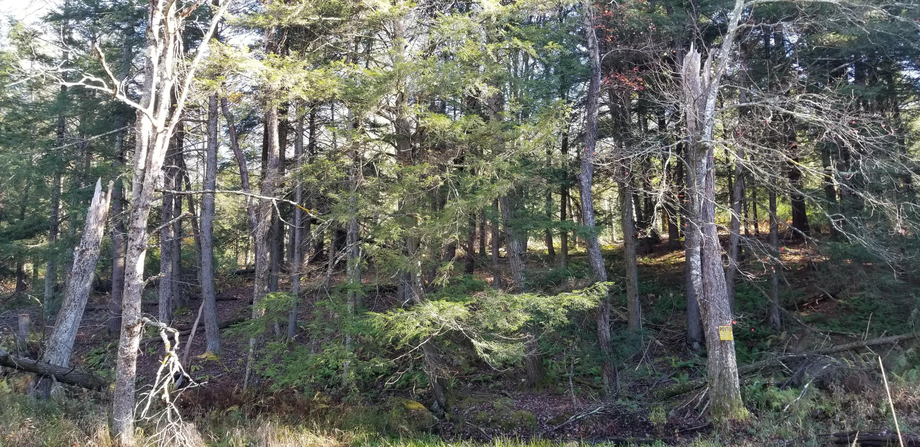 Lot #22 Swamp Pond Road Narrowsburg, NY 12764 - Photo 17 of 36