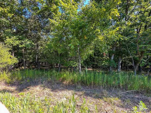 $29,900 | Lot 56 Eagle Chase Drive, Marseilles, IL 61341