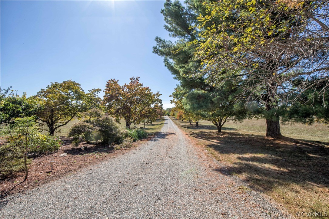 47 Cedar Springs Road Cartersville, VA 23027 - Photo 30 of 49 view of driveway