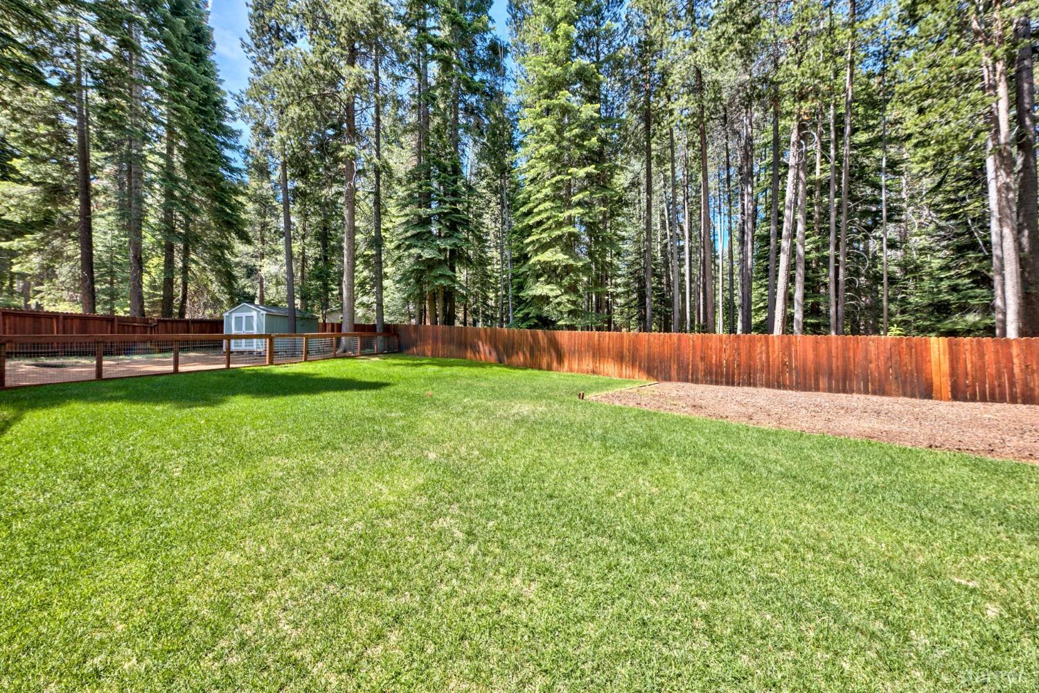 1569 Aztec Way South Lake Tahoe, CA 96150 - Photo 4 of 22 a view of a park with large trees