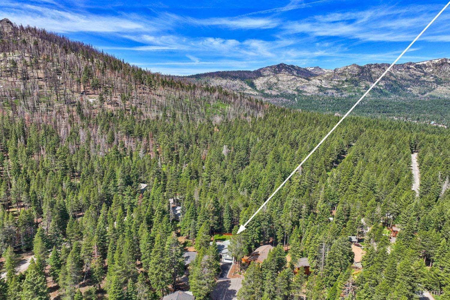 1569 Aztec Way South Lake Tahoe, CA 96150 - Photo 7 of 22 a view of a lush green forest with sea