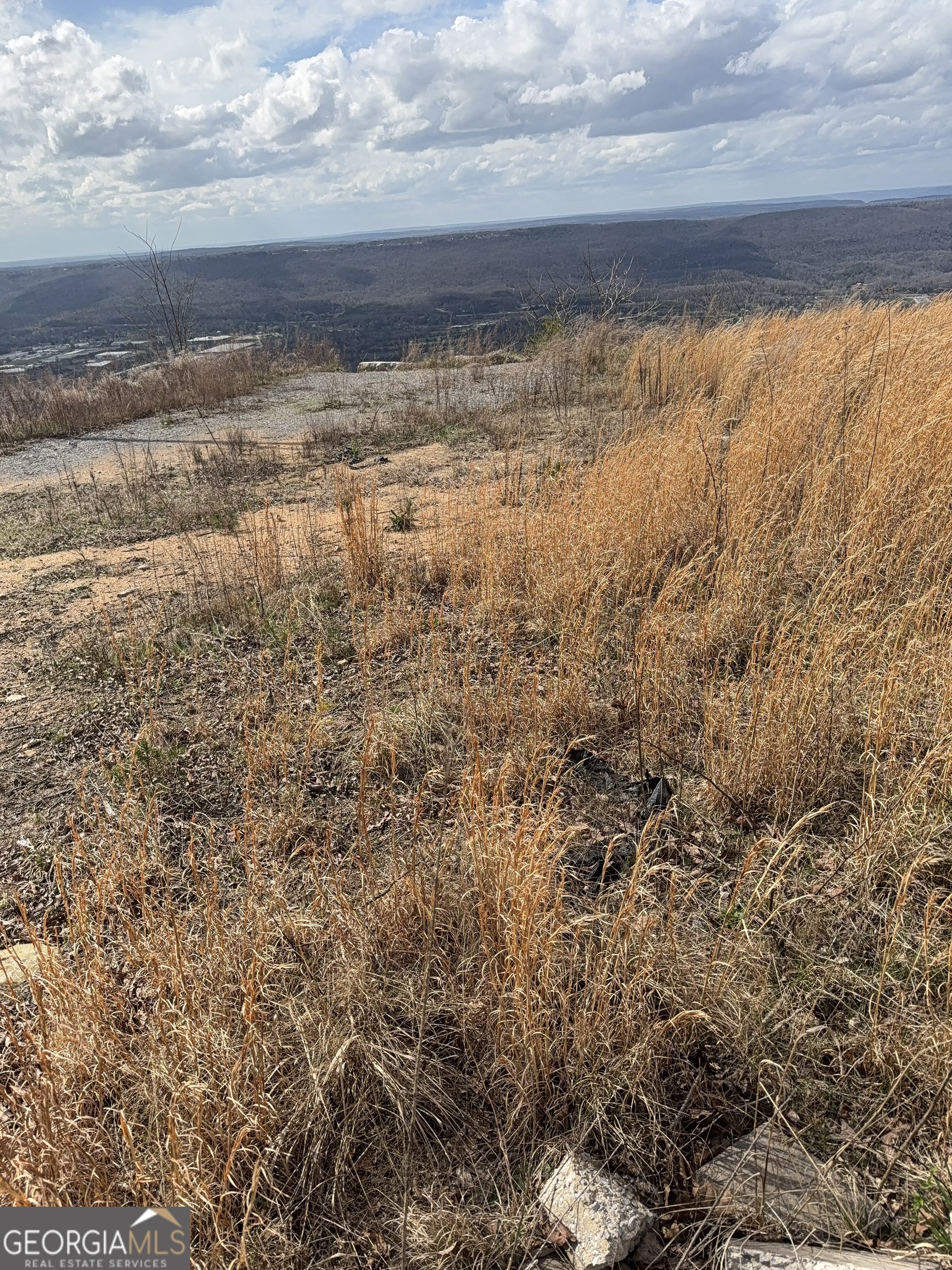 Lot 12 Scenic Highway Rising Fawn, GA 30738 - Photo 2 of 5