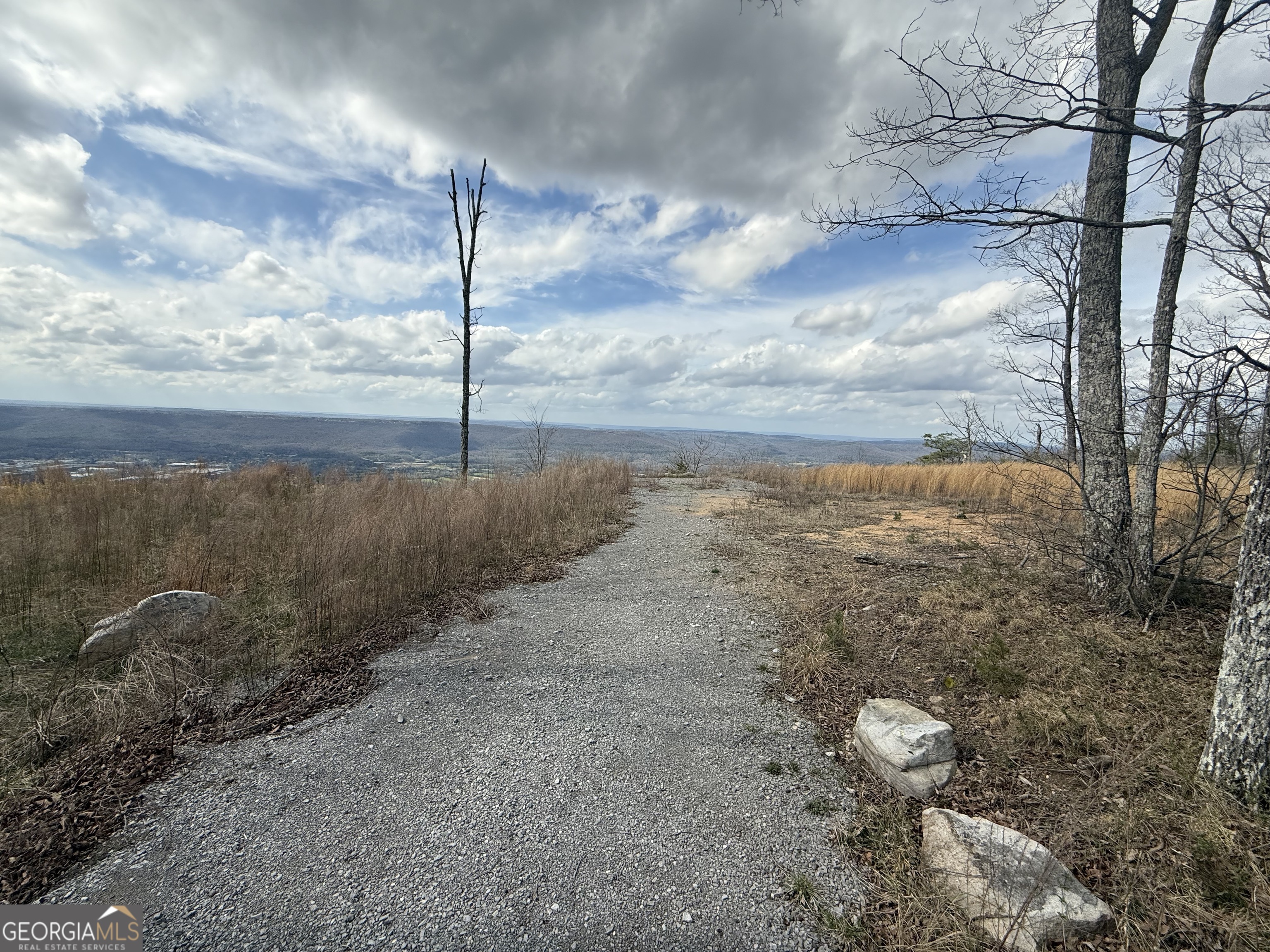 Lot 12 Scenic Highway Rising Fawn, GA 30738 - Photo 3 of 5