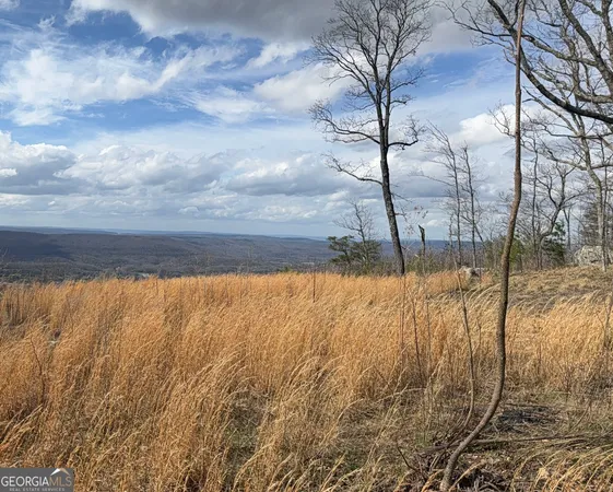 $600,000 | Lot 12 Scenic Highway, Rising Fawn, GA 30738