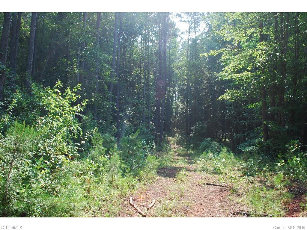 0 Nesting Goose Road Yadkinville, NC 27055 - Photo 1 of 7 Gallery Image 1