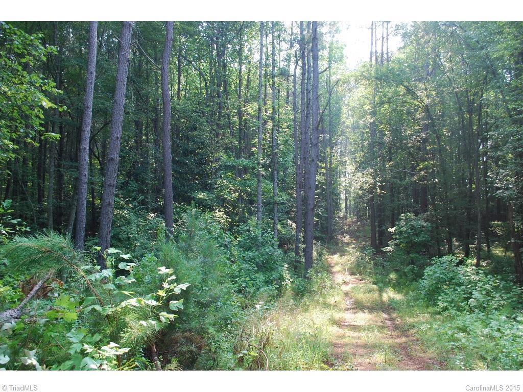 0 Nesting Goose Road Yadkinville, NC 27055 - Photo 2 of 7 Gallery Image 2