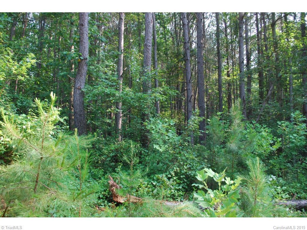 0 Nesting Goose Road Yadkinville, NC 27055 - Photo 3 of 7 Gallery Image 3