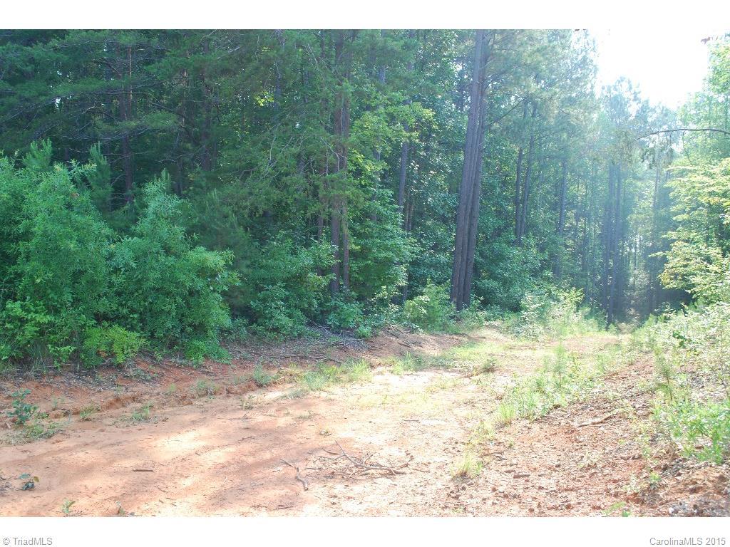 0 Nesting Goose Road Yadkinville, NC 27055 - Photo 4 of 7 Gallery Image 4