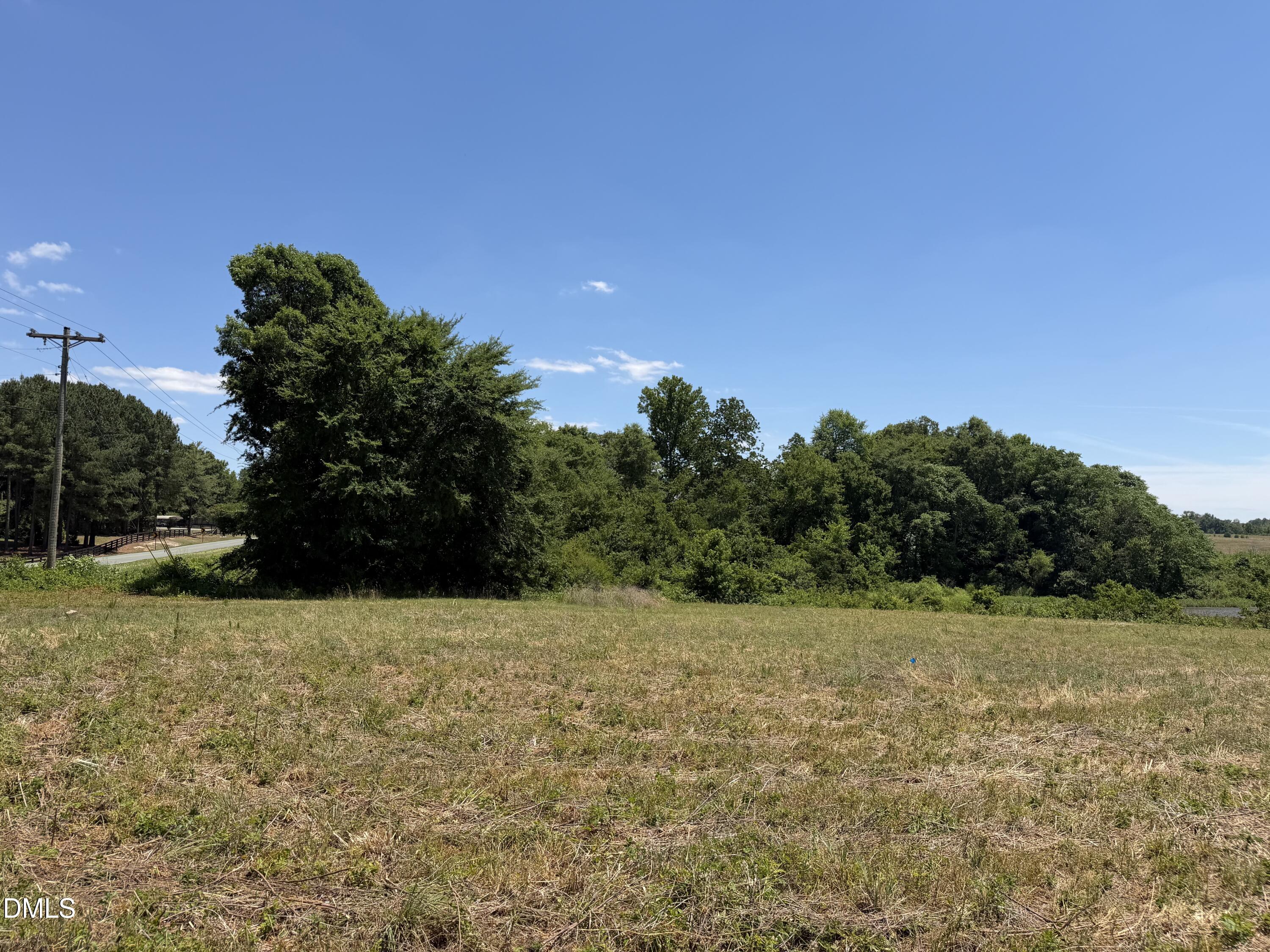 6020 Corbett Ridge Road Mebane, NC 27302 - Photo 12 of 20 a view of a field with a tree