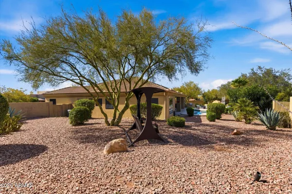 a view of a backyard with a tree