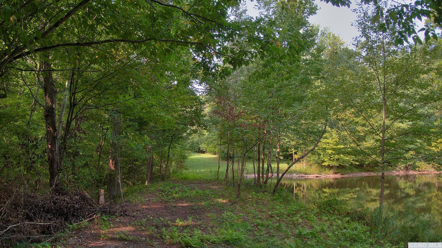 9 Preusser Road Craryville, NY 12521 - Photo 3 of 11 Photo 3