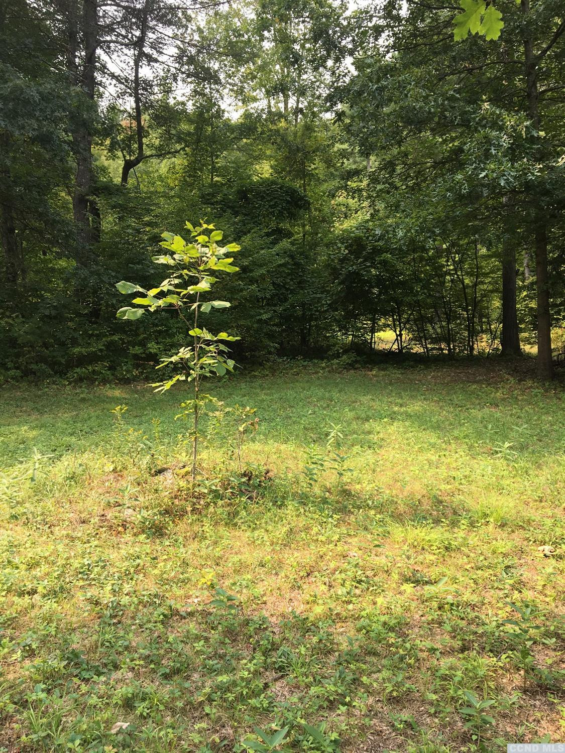 9 Preusser Road Craryville, NY 12521 - Photo 7 of 11 Photo 7