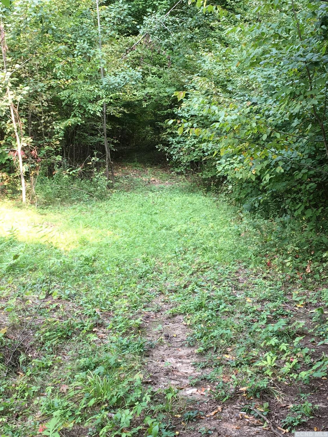 9 Preusser Road Craryville, NY 12521 - Photo 8 of 11 Photo 8