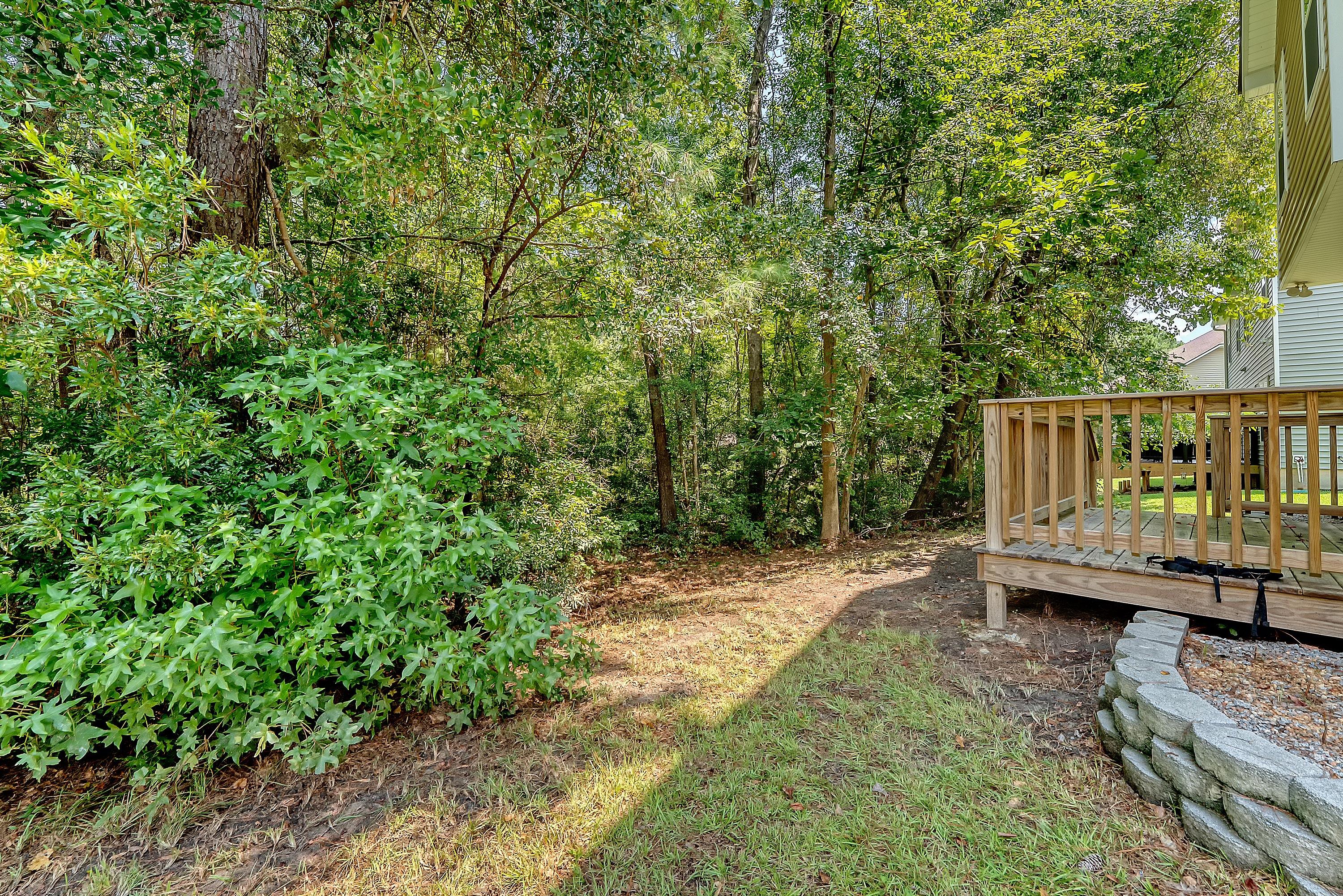 9450 Netted Charm Court Ladson, SC 29456 - Photo 38 of 43 DSC00803_8-copy