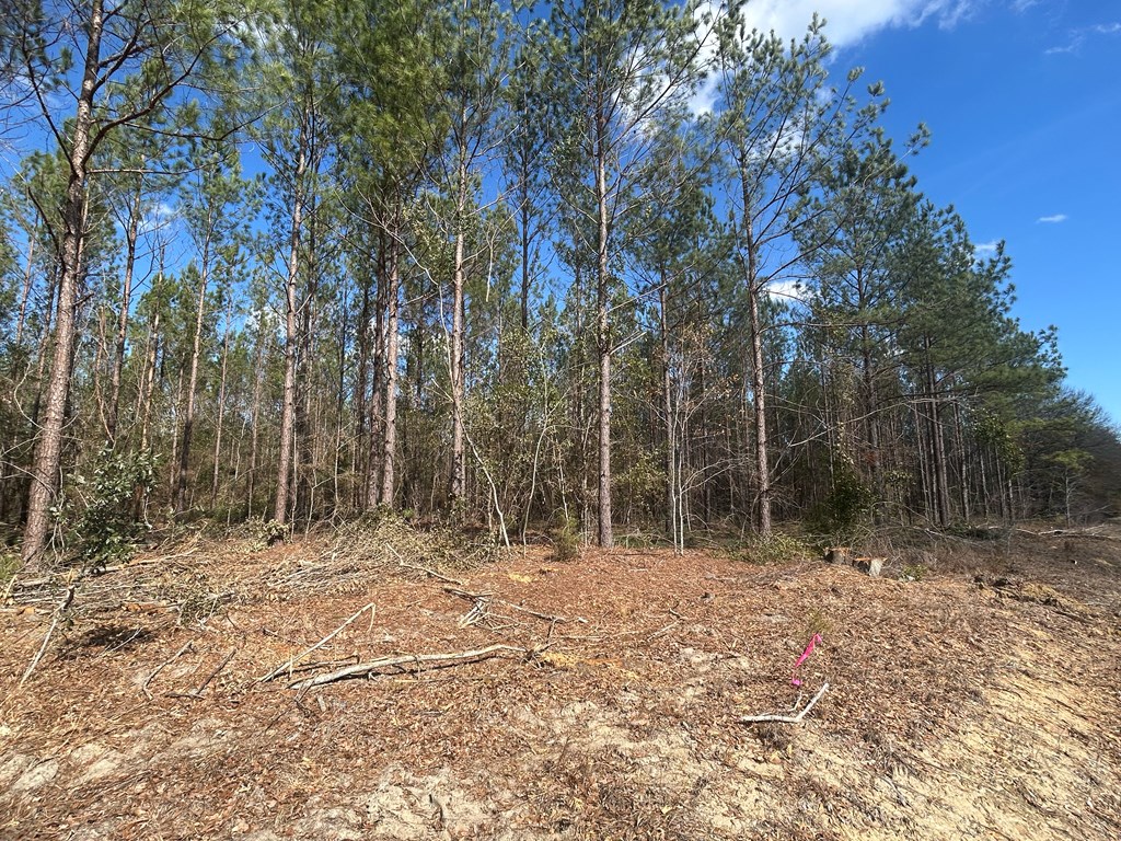 Lot 3-15 -ac Cottonwood Rd/ Phillips Road Cottonwood, AL 36320 - Photo 21 of 49